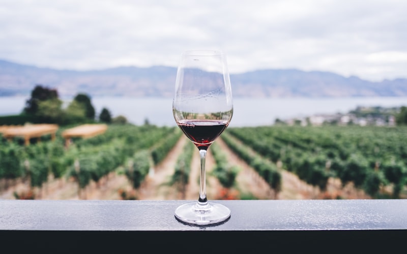 Vineyards and winery on a wine tourism route